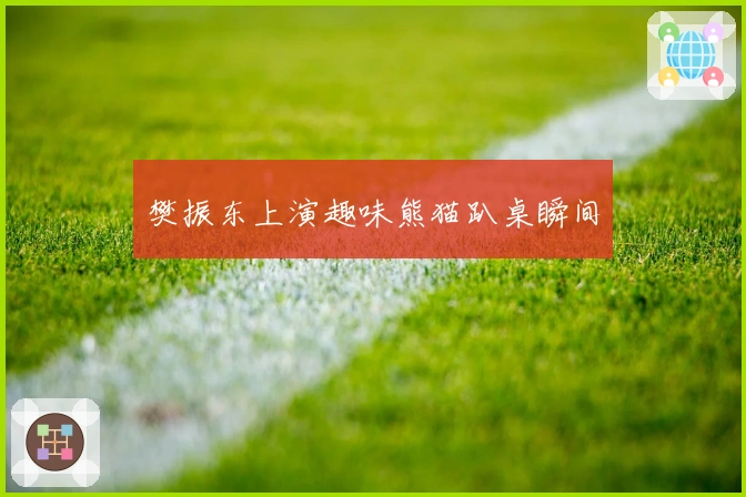 樊振东上演趣味熊猫趴桌瞬间